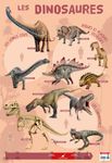 Poster pédagogique Dinosaures - 52 x 76 cm - Bouchut