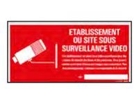 Pickup - Panneau de signalisation - 300 x 150 mm - Site sous vidéosurveillance