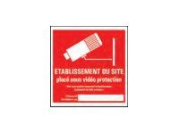 Pickup - Pictogramme - Site sous vidéoprotection - 150 x 150 mm