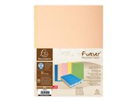 Exacompta Forever - 25 Chemises à soufflet - 320 gr - couleurs assorties