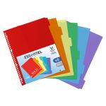 Viquel - Intercalaire 6 positions - A4 Maxi - polypropylène coloré