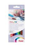 Pentel Arts - Boite de 12 crayons de couleurs aquarellables CB9-12U