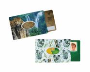 Color Pop - Etui rigide imprimé pour 1 carte - différents modèles disponibles