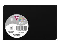 Pollen - 25 Cartes - 82 x 128 mm - 210 g/m² - noir
