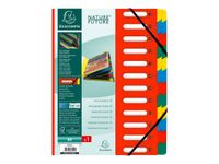 Exacompta Harmonika - Trieur à fenêtres 24 positions - disponible dans différentes couleurs