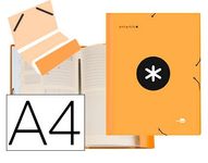 Antartik - Trieur 12 positions - A4 - orange fluo