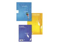 Calligraphe - feuilles simples dessin A4 - 100 pages - perforées - blanches unies