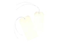 Avery - 1000 Étiquettes américaines à œillets avec fil de fer - 120 x 60 mm - réf 75-410