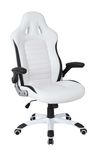 Fauteuil gamer DRIFT - accoudoirs fixes - Noir et blanc