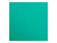 Clairefontaine Maya - Papier à dessin - 50 x 70 cm - 270 g/m² - vert foncé
