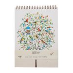 Kiub - Carnet a dessin 29,8x21 pap bug art