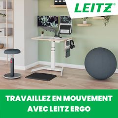Leitz Ergo