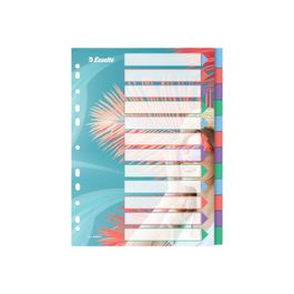 Esselte Ordnungsmappe Colour'Ice, A4, PP, 6 Fächer 626255 bei günstig kaufen