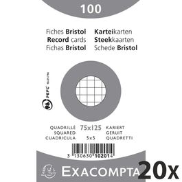 Exacompta - Pack de 100 Fiches Bristol - A5 - petits carreaux - perforées -  blanc Pas Cher | Bureau Vallée