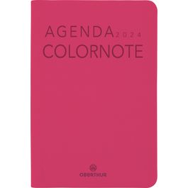Agenda ColorNote mini 2024 vert