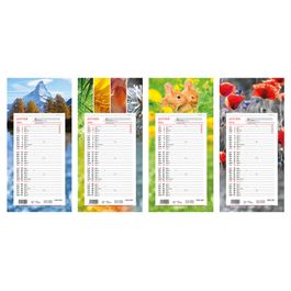 Exacompta 33115E - Calendrier mensuel avec feuillets détachables 15,5 x 28,5... les Prix d'Occasion ou Neuf
