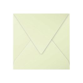 Paquet de 20 enveloppes Pollen 165x165 vert