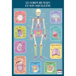 Poster Pédagogique Mesures 52 X 76 Cm - Effaçable à Sec, Fabriqué En France