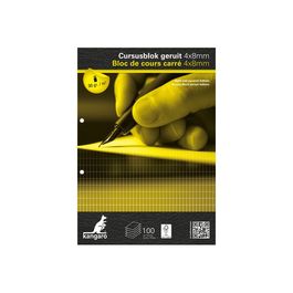 Bloc De 25 Feuilles Papier Millimétré A3 80g Kangaro - Idéal Pour Dessin Technique, Maths Et Projets