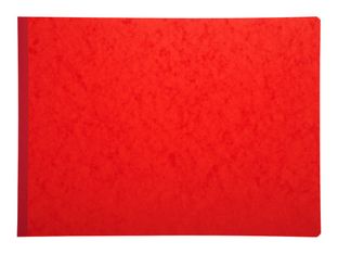 Exacompta - Registre des recettes/dépenses pour associations - 25 x 38 cm