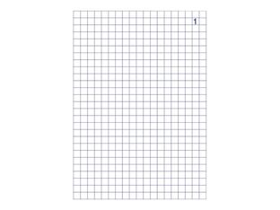 ELVE - Manifold quadrillé 5x5 - 50 dupli - 14,8 x 10,5 cm