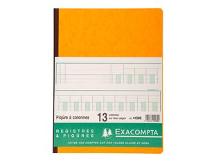 Exacompta - Piqûre comptable - 13 colonnes sur 2 pages - 32 x 25 cm - 80 pages