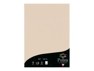 Pollen - 50 Feuilles papier couleur - A4 (21 x 29,7 cm) - 120 g/m² - ivoire