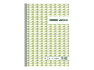 Exacompta - 5 Manifolds Carnets de recettes/dépenses - 50 dupli - A4