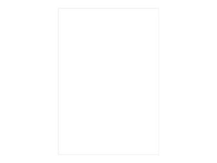 Pollen - 50 Feuilles papier couleur - A4 (21 x 29,7 cm) - 160 g/m² - blanc
