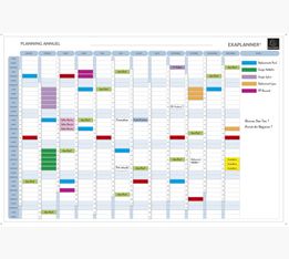 Exacompta - Planning annuel magnétique - effaçable à sec - 90 x 59 cm