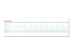 Exacompta - Piqûre tête paresseuse - 20 colonnes sur 2 pages - 27 x 32 cm