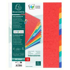 Exacompta Nature Future - Intercalaire 12 positions - A4 Maxi - carte lustrée colorée