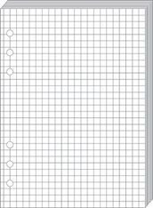 Quo Vadis Timer 17 - Recharge pour organiseur - 10 x 17 cm - bloc-notes blanc