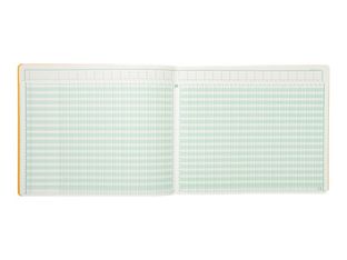 Exacompta - Piqûre tête paresseuse - 30 colonnes sur 2 pages - 27 x 32 cm