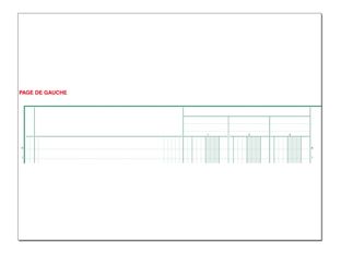 Exacompta - Piqûre comptable - 10 colonnes sur 2 pages - 32 x 25 cm - 80 pages