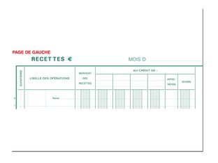 Exacompta - Journal de caisse ou banque - 10 colonnes : 5 débits/5 crédits - 32 x 19,5 cm vertical