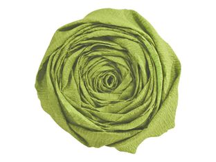 Clairefontaine - papier - Rouleau (50 cm x 2,5 m) - vert mousse - papier crépon