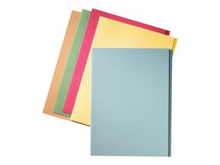 Esselte Manilla - 100 Chemises à onglets - vert