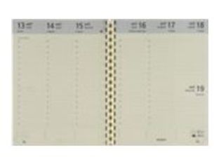 Recharge pour agenda Optivision Large - 17,1 x 22 cm - Brepols