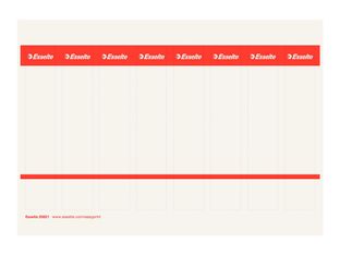 Esselte - étiquettes de tranche - 80 unités