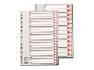 Esselte - intercalaire - A4 Maxi - à onglets - gris