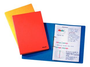 Esselte Rainbow - classeur à anneaux - pour A4 - capacité : 100 feuilles - bleu