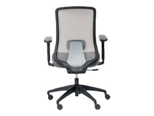 Fauteuil de bureau LANDO- accoudoirs - gris