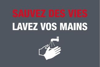 Novus Dahle - Tapis de distanciation sociale lavage main -  gris - 85 x 120 cm