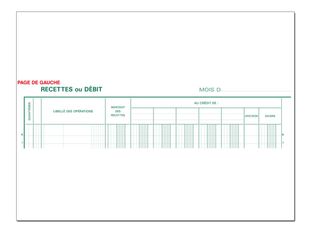 Exacompta - Journal de caisse ou banque - 5 débits/5 crédits - 32 x 25 cm - 80 pages