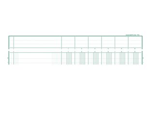 Exacompta - Piqûre à tête paresseuse - 6 colonnes sur 1 page - 32 x 25 cm - 80 pages