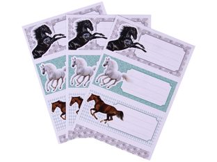 Apli Chevaux - 9 Étiquettes scolaires - 36 x 81 mm