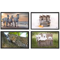 Viquel - Sous-main Animaux - 59,8 x 36,5 cm - disponible dans différents modèles