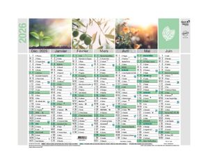 Quo Vadis Equology - Calendrier recyclé 7 mois par face - 18 x 13,5 cm