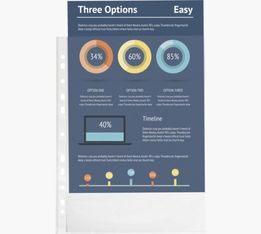 Exacompta - 100 Pochettes perforées - A4 - 8/100